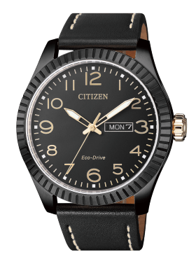 CITIZEN BM8530-11L CITIZEN BM8530-11L